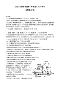 安徽省县中联考2024~2025学年高二上学期12月月考生物试题