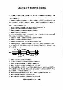 辽宁省丹东市五校协作体2024-2025学年高三上学期12月月考生物试题