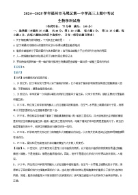 福建省福州市马尾区第一中学2024-2025学年高三上学期期中生物试卷（解析版）-A4