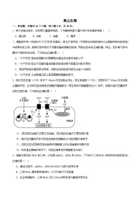 四川省成都市列五中学2024-2025学年高三上学期12月月考生物试题（Word版附答案）