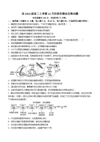 四川省成都市树德中学2024-2025学年高三上学期12月月考生物试题（Word版附答案）