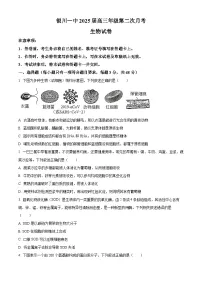 2025届银川一中高三第二次月考生物试卷及参考答案