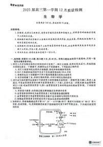 河南省名校联盟2024-2025学年高三上学期12月月考生物试题