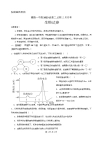 四川省南充市嘉陵一中2024-2025学年高二上学期12月月考生物试卷（Word版附答案）