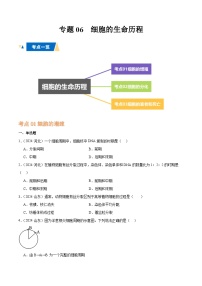 专题06 细胞的生命历程-备战2025年高中学业水平合格考生物真题分类汇编.zip