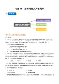专题11 基因突变及其他变异-备战2025年高中学业水平合格考生物真题分类汇编.zip