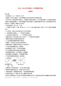 广东省深圳市2023_2024学年高一生物上学期11月期中试题