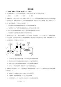 生物丨四川省成都列五中学2025届高三上学期12月月考生物试卷及答案