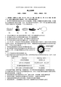 2025东莞七校联考高三上学期12月月考生物试题含答案