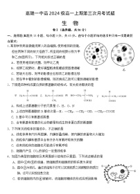 四川省南充市嘉陵第一中学2024-2025学年高一上学期12月月考生物试题