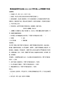 陕西省咸阳市礼泉县2024-2025学年高二上学期期中考试生物试卷（解析版）