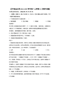 辽宁省金太阳2024-2025学年高一上学期11月期中生物试卷（解析版）