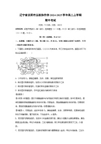 辽宁省沈阳市五校协作体2024-2025学年高二上学期期中考试生物试卷（解析版）