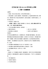辽宁省三省一区2024-2025学年高三上学期11月第一次质量检测生物试卷（解析版）