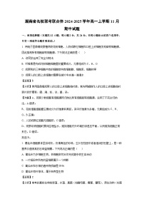 湖南省名校联考联合体2024-2025学年高一上学期11月期中生物试卷（解析版）