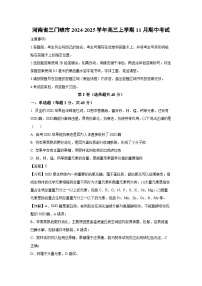 河南省三门峡市2024-2025学年高三上学期11月期中考试生物试卷（解析版）