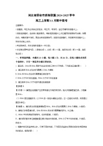 河北省邢台市质检联盟2024-2025学年高三上学期11月期中联考生物试卷（解析版）