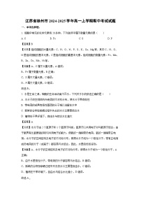江苏省徐州市2024-2025学年高一上学期期中考试生物试卷（解析版）