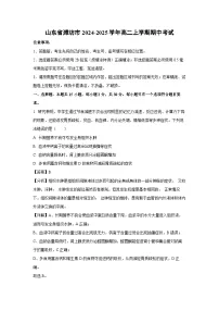 山东省潍坊市2024-2025学年高二上学期期中考试生物试卷（解析版）