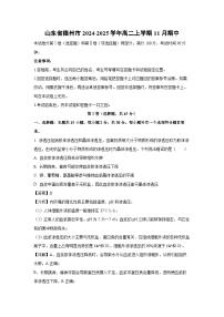 山东省德州市2024-2025学年高二上学期11月期中生物试卷（解析版）