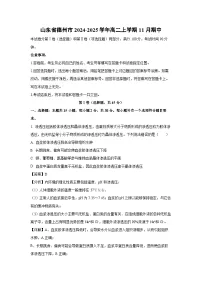 山东省德州市2024-2025学年高二上学期11月期中生物试卷（解析版）