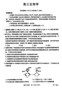 广东省金太阳2025届高三上学期12月联考-生物试卷+答案