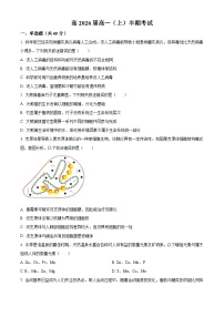 重庆市巴蜀中学校2023-2024学年高一上学期期中生物试题