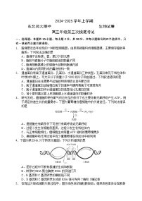 2024—2025 学年上学期东北师大附中高三年级第三次摸底考试生物试卷及参考答案