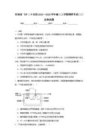 河南省TOP二十名校2024—2025学年高三上学期调研考试（三）生物试题