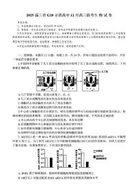 豫皖赣三省G20示范高中2024-2025学年高三上学期12月联考生物试题及答案