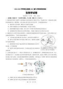 四川省成都市第七中学2024-2025学年高三上学期12月阶段性考试生物试题