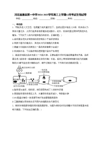 河北省唐县第一中学2024-2025学年高三上学期12月考试生物试卷(含答案)