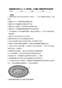 河南省部分学校2024-2025学年高一上学期11月期中联考生物试卷(含答案)
