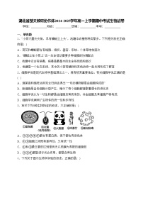 湖北省楚天教研协作体2024-2025学年高一上学期期中考试生物试卷(含答案)