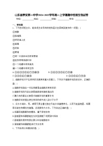 山东省泰安第一中学2024-2025学年高一上学期期中检测生物试卷(含答案)