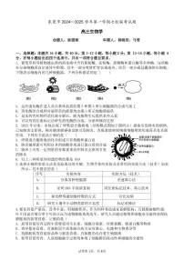 生物丨广东省东莞市七校联考2025届高三上学期12月月考生物试卷及答案