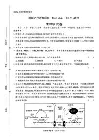 生物丨湖南省名校教育联盟2025届高三12月大联考生物试卷及答案