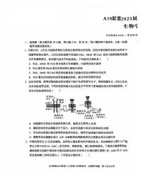 安徽省1号卷A10联盟2025届高三上学期12月质检考生物