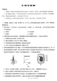 重庆市第八中学2025届高三上学期12月适应性月考（四）生物试卷（PDF版附解析）