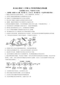 四川省成都市树德中学2024-2025学年高三上学期12月月考生物试题+答案