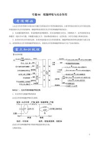 《高中知识清单》生物（专题）-专题04 细胞呼吸与光合作用（讲）（原卷+解析版）