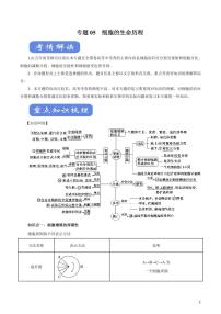 《高中知识清单》生物（专题）-专题05 细胞的生命历程（讲）（原卷+解析版）