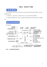 《高中知识清单》生物（专题）-专题06 遗传的分子基础（讲）（原卷+解析版）