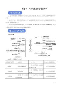 《高中知识清单》生物（专题）-专题09 人和动物生命活动的调节（讲）（原卷+解析版）