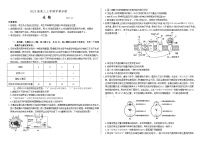 2025山东省百校大联考高三上学期12月月考试题生物含答案