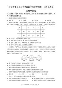 辽宁省大连市第二十三中学2024—2025学年高一上学期12月考试生物试题