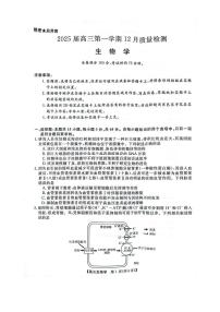 河南省华师联盟2025届高三上学期12月质量检测考试-生物试题+答案