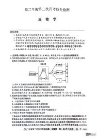 陕西省榆林市府谷县部分学校2024-2025学年高二上学期12月月考生物试题（PDF版附答案）