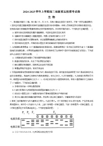 江西省宜春市丰城市创新班五校2024-2025学年高二上学期12月联考生物试题