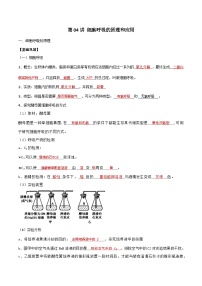 【寒假衔接讲义】人教版 高中生物 高一寒假 第04讲 细胞呼吸的原理和应用（教师版+学生版）.zip